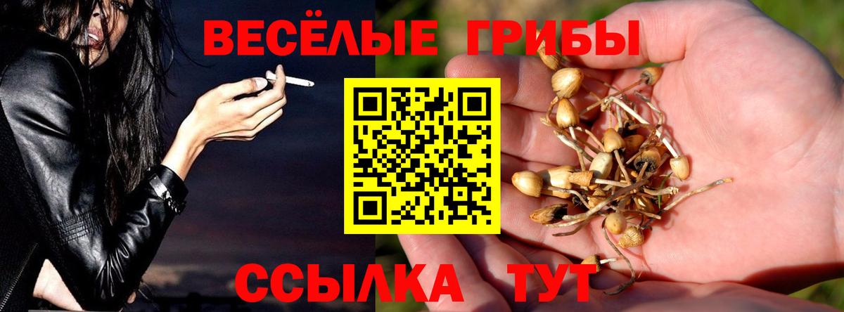 Ростов Великий  Галлюциногенные грибы мухоморы  Псилоцибиновые грибы GOLDEN TEACHER  Вход с VPN 